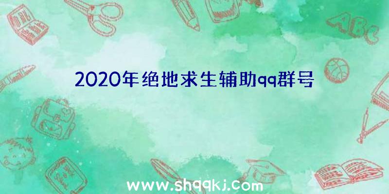 2020年绝地求生辅助qq群号