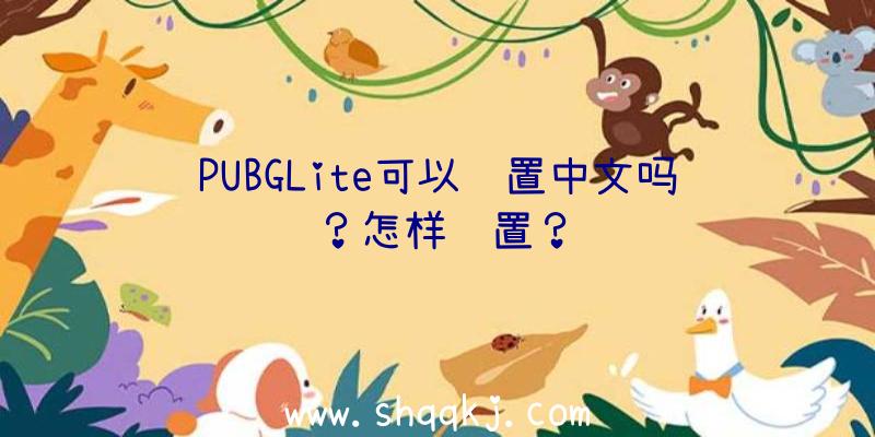 PUBGLite可以设置中文吗？怎样设置？