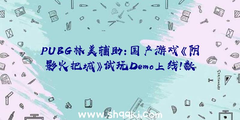 PUBG林美辅助：国产游戏《阴影火把城》试玩Demo上线!数字版及实体版方案9月7日推出