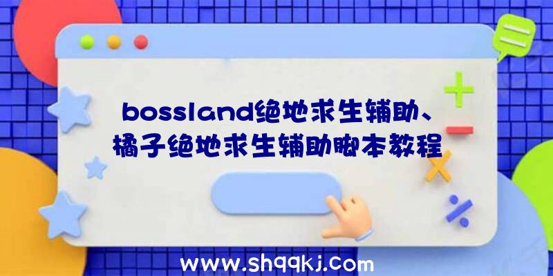 bossland绝地求生辅助、橘子绝地求生辅助脚本教程