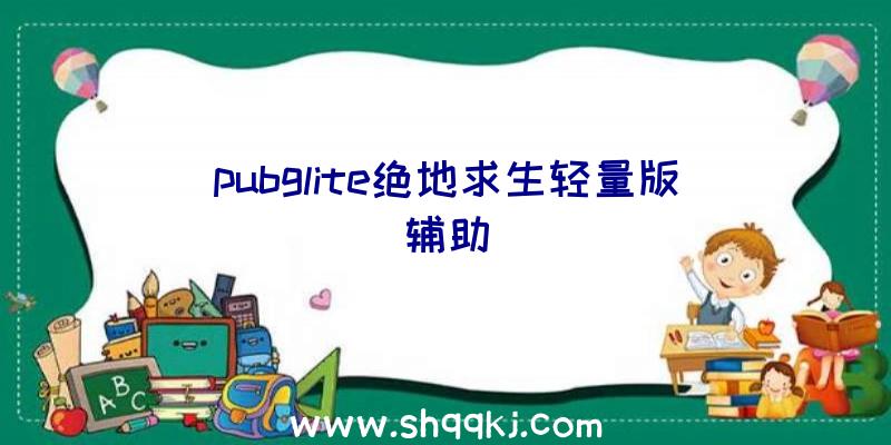 pubglite绝地求生轻量版辅助