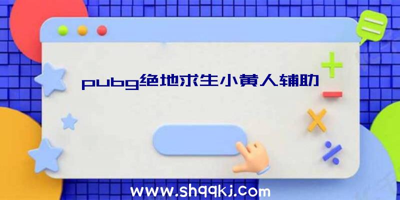 pubg绝地求生小黄人辅助