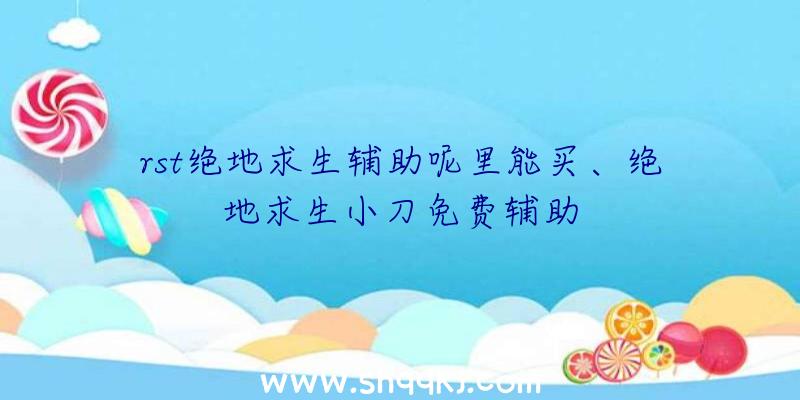 rst绝地求生辅助呢里能买、绝地求生小刀免费辅助