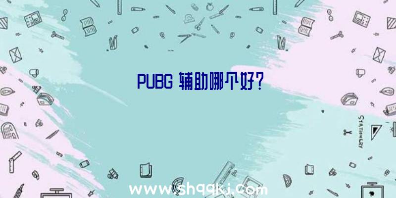 《PUBG》辅助哪个好？
