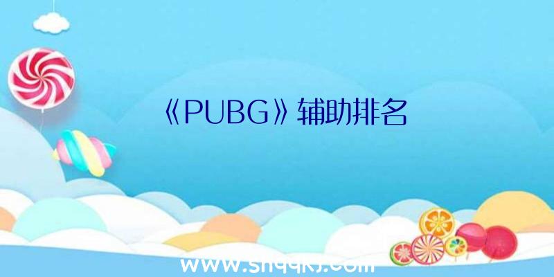 《PUBG》辅助排名