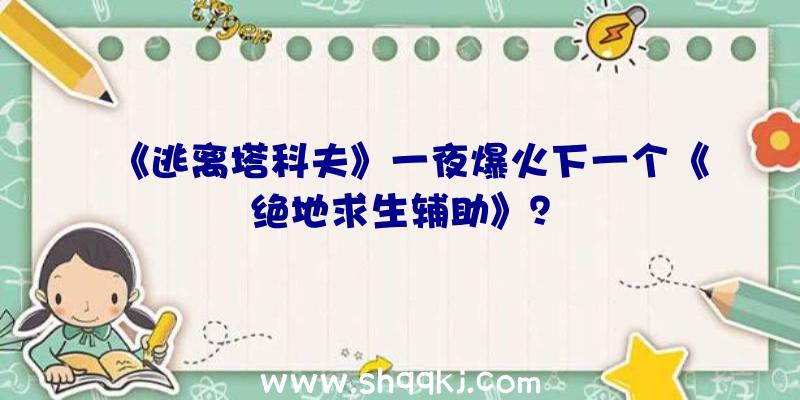 《逃离塔科夫》一夜爆火下一个《绝地求生辅助》？