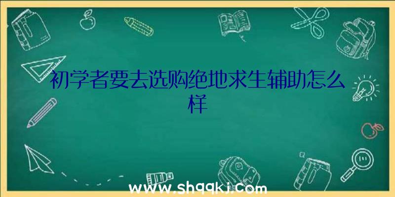 初学者要去选购绝地求生辅助怎么样