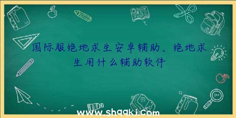 国际服绝地求生安卓辅助、绝地求生用什么辅助软件