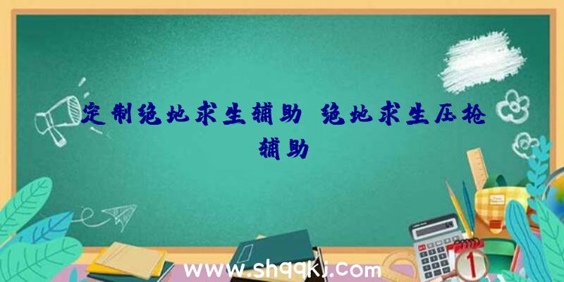 定制绝地求生辅助、绝地求生压枪辅助l