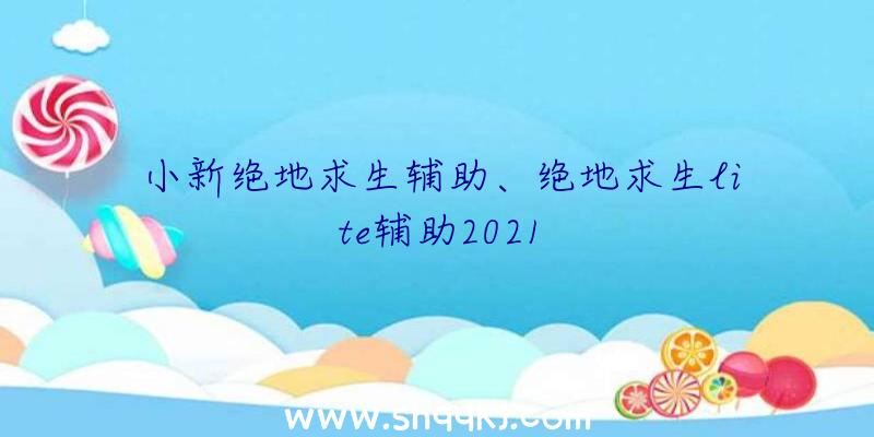 小新绝地求生辅助、绝地求生lite辅助2021