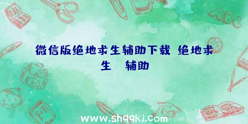 微信版绝地求生辅助下载、绝地求生is辅助