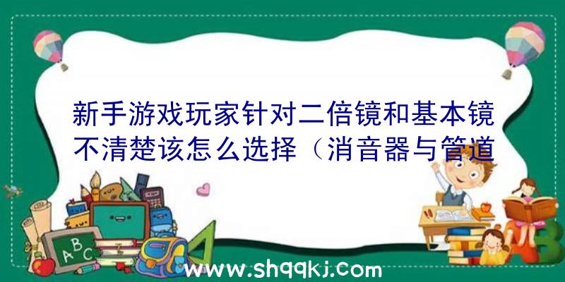 新手游戏玩家针对二倍镜和基本镜不清楚该怎么选择（消音器与管道补偿器的区别）