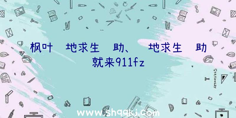 枫叶绝地求生辅助、绝地求生辅助就来911fz