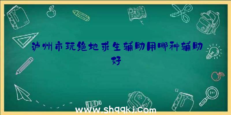 泸州市玩绝地求生辅助用哪种辅助好