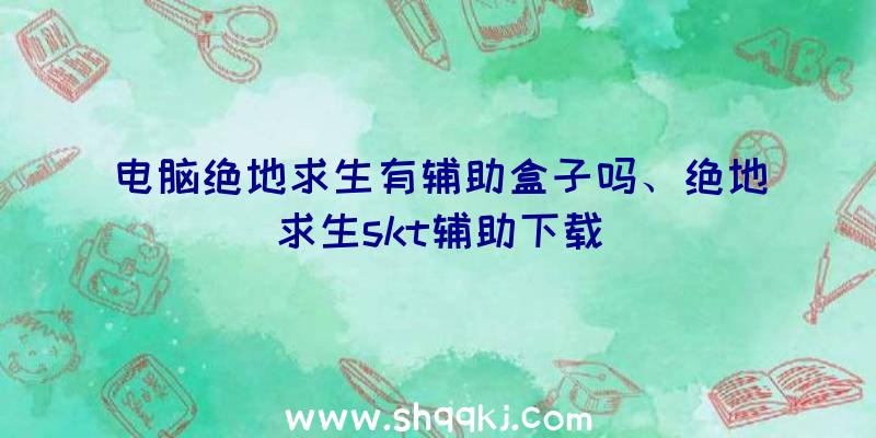 电脑绝地求生有辅助盒子吗、绝地求生skt辅助下载