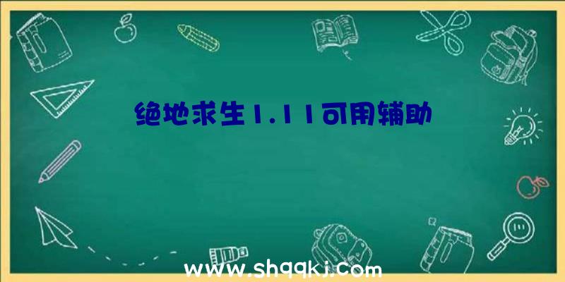 绝地求生1.11可用辅助