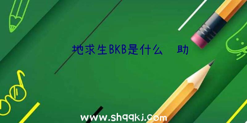 绝地求生BKB是什么辅助