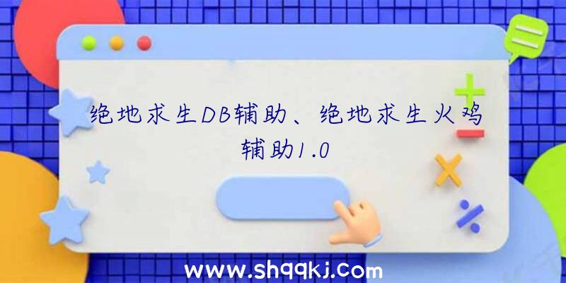 绝地求生DB辅助、绝地求生火鸡辅助1.0