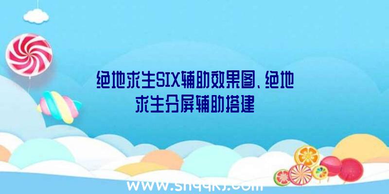 绝地求生SIX辅助效果图、绝地求生分屏辅助搭建