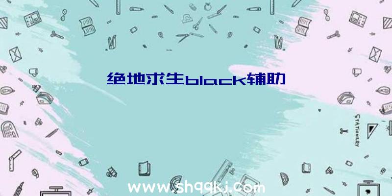 绝地求生black辅助