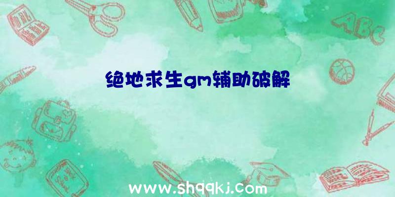 绝地求生gm辅助破解