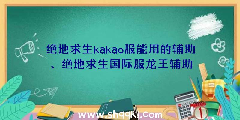 绝地求生kakao服能用的辅助、绝地求生国际服龙王辅助