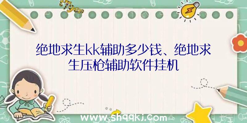 绝地求生kk辅助多少钱、绝地求生压枪辅助软件挂机