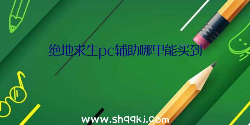 绝地求生pc辅助哪里能买到