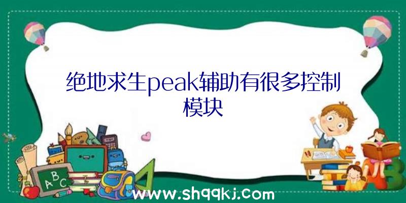 绝地求生peak辅助有很多控制模块