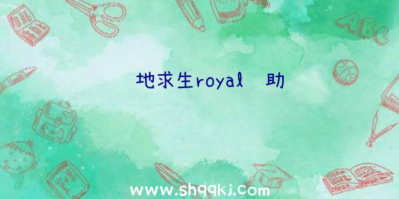 绝地求生royal辅助