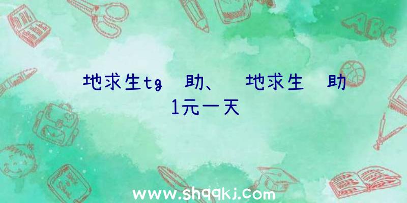 绝地求生tg辅助、绝地求生辅助1元一天