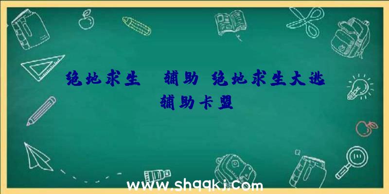 绝地求生tl辅助、绝地求生大逃辅助卡盟