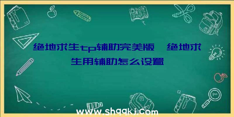 绝地求生tp辅助完美版、绝地求生用辅助怎么设置