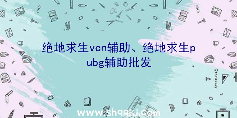 绝地求生vcn辅助、绝地求生pubg辅助批发