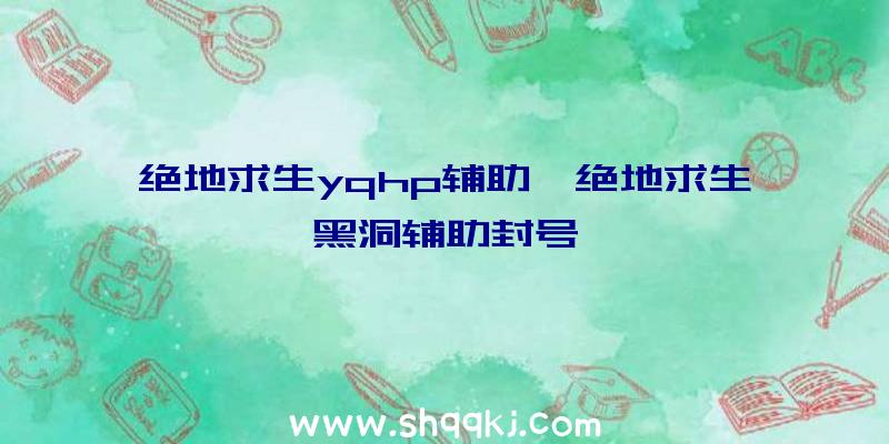 绝地求生yqhp辅助、绝地求生黑洞辅助封号