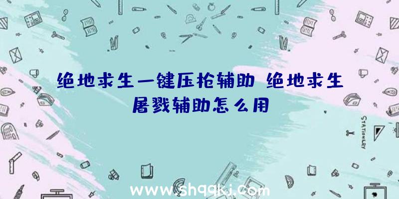 绝地求生一键压枪辅助、绝地求生屠戮辅助怎么用