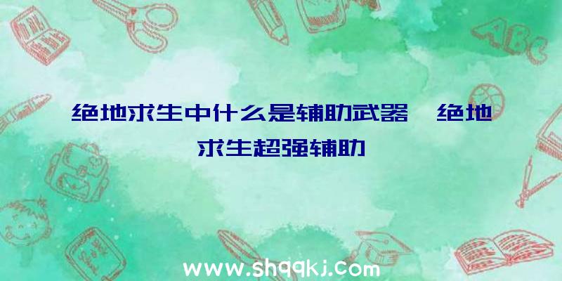 绝地求生中什么是辅助武器、绝地求生超强辅助