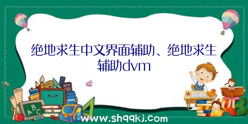 绝地求生中文界面辅助、绝地求生辅助dvm