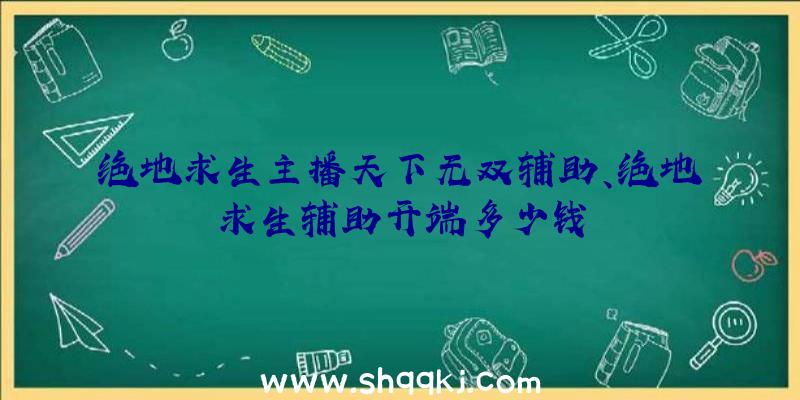 绝地求生主播天下无双辅助、绝地求生辅助开端多少钱