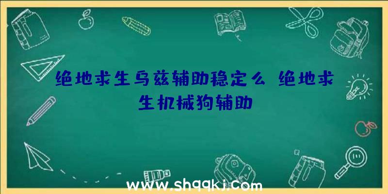 绝地求生乌兹辅助稳定么、绝地求生机械狗辅助