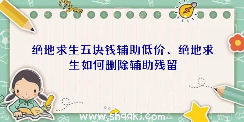 绝地求生五块钱辅助低价、绝地求生如何删除辅助残留