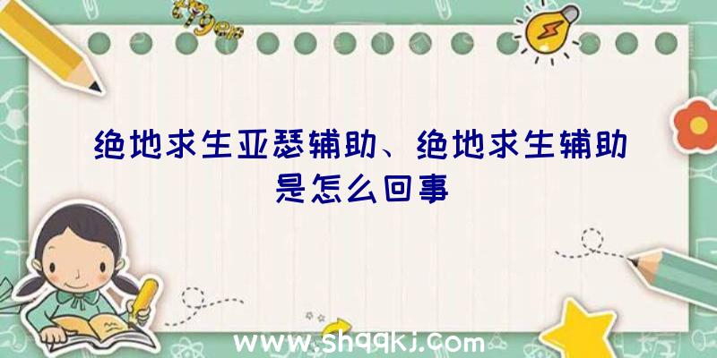 绝地求生亚瑟辅助、绝地求生辅助是怎么回事