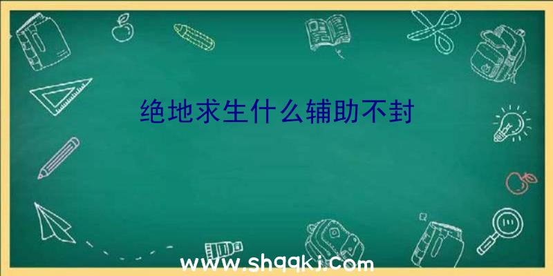 绝地求生什么辅助不封