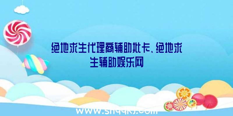 绝地求生代理商辅助批卡、绝地求生辅助娱乐网