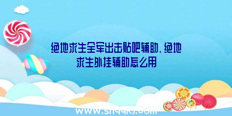 绝地求生全军出击贴吧辅助、绝地求生外挂辅助怎么用