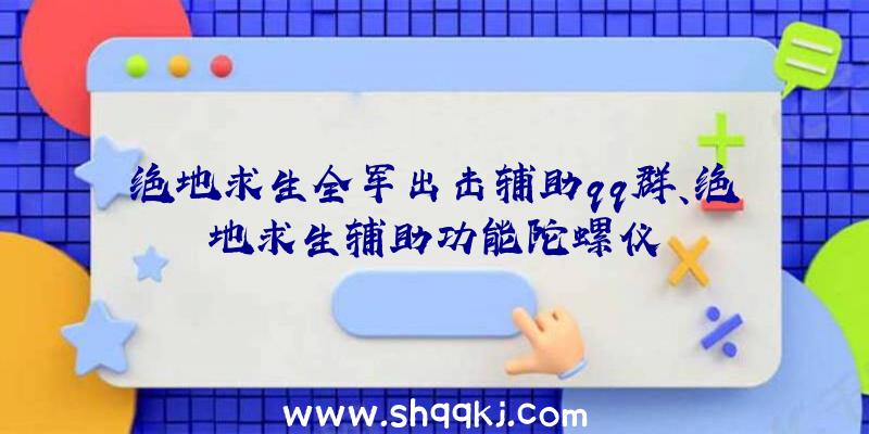 绝地求生全军出击辅助qq群、绝地求生辅助功能陀螺仪