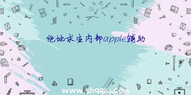 绝地求生内部apple辅助