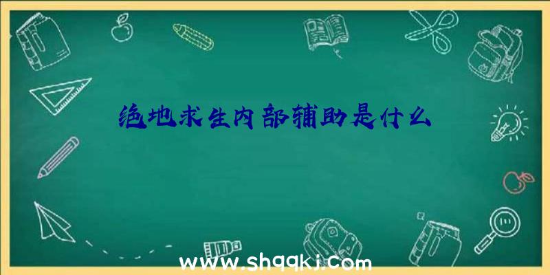 绝地求生内部辅助是什么