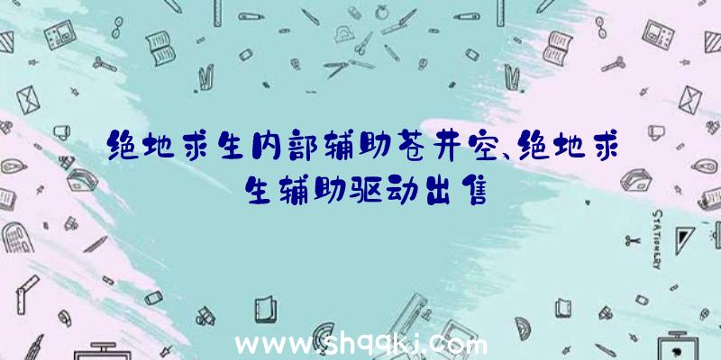 绝地求生内部辅助苍井空、绝地求生辅助驱动出售