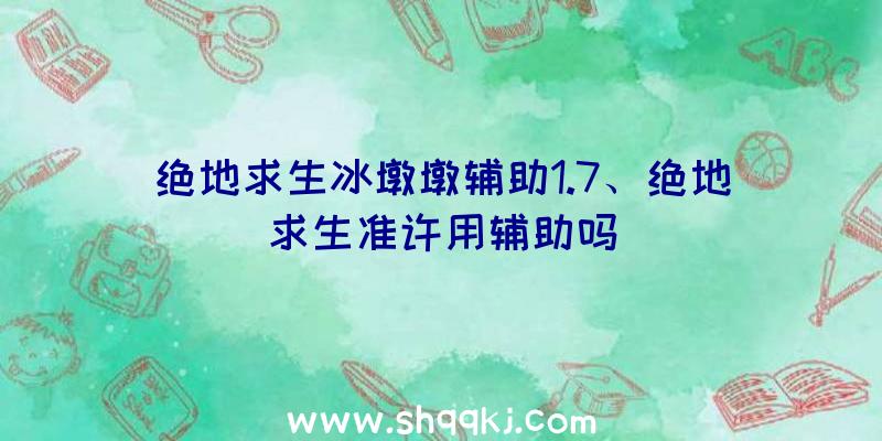 绝地求生冰墩墩辅助1.7、绝地求生准许用辅助吗